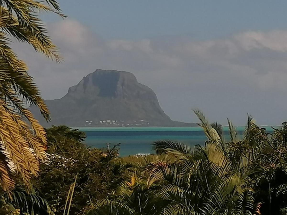 Terre Et Mer - Studios - Ile Maurice Riviere Noire Luaran gambar